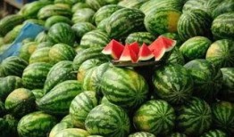 今日黑料 体育圈的瓜是什么意思,娱乐圈的瓜，体育圈也有